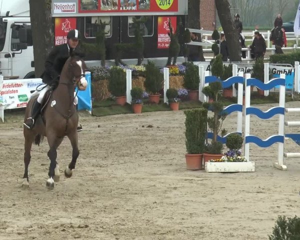 Lenklarer Reitertage 2014