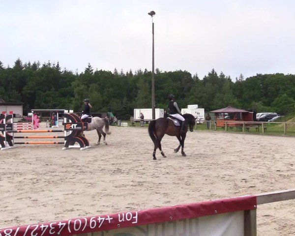 Reitturnier Kropp 2025