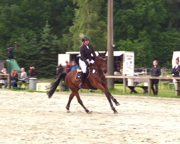Reitturnier Kropp 2025