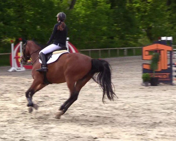 Reitturnier Kropp 2025