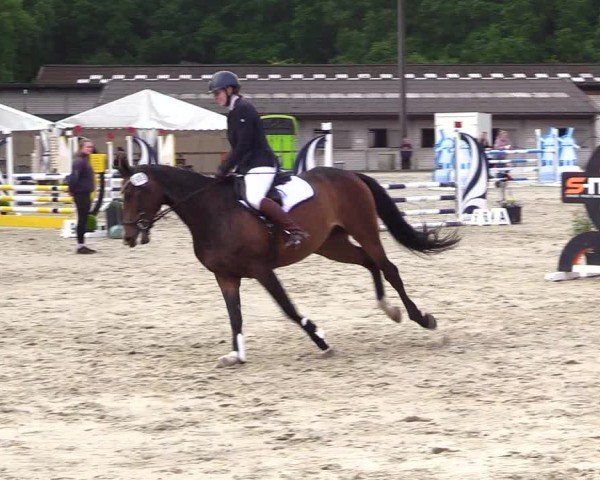 Reitturnier Kropp 2025