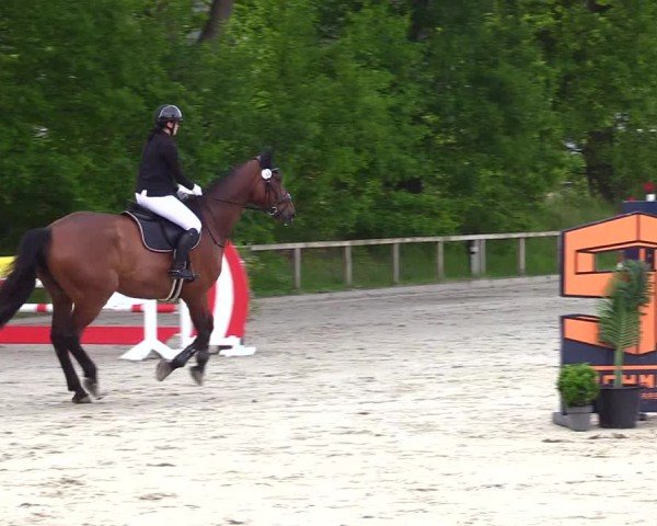 Reitturnier Kropp 2025