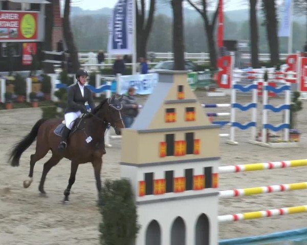 Lenklarer Reitertage 2014