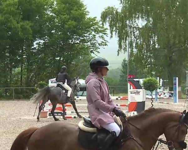 Reitturnier Landenhausen 2025