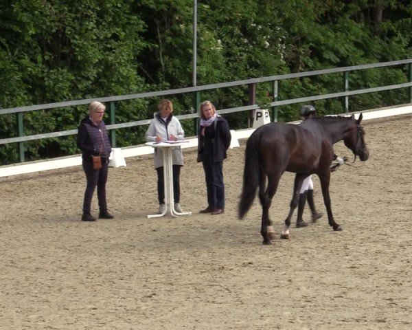 Reitturnier Iserlohn-Kalthof 2025