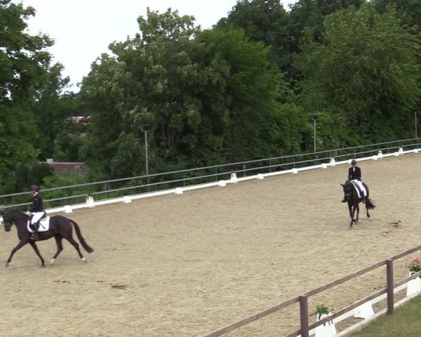 Reitturnier Iserlohn-Kalthof 2025