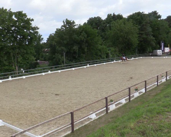 Reitturnier Iserlohn-Kalthof 2025