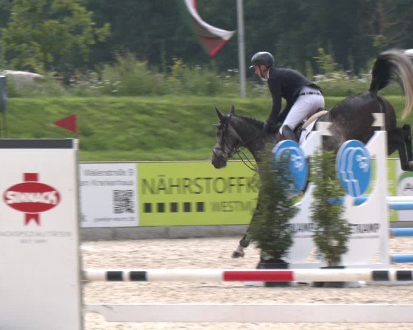 Reitturnier Borken 2025