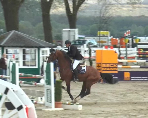 Reitturnier Werne-Lenklar 2014