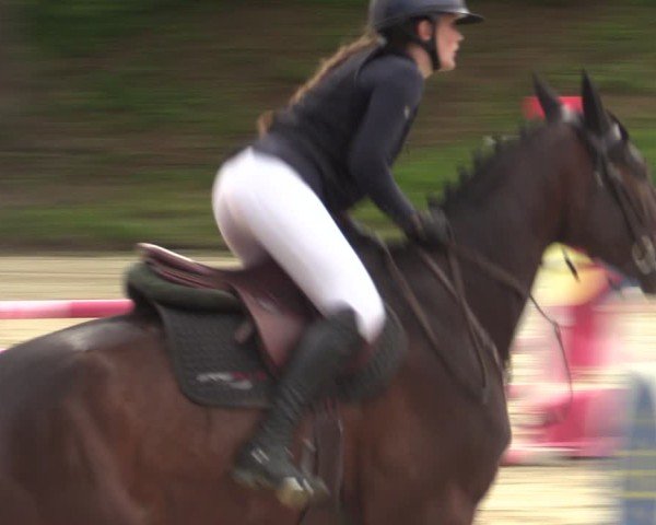 Reitturnier Iserlohn-Kalthof 2025