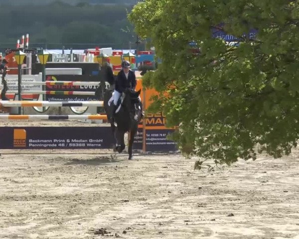Lenklarer Reitertage 2014
