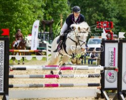 jumper Salt and Pepper 4 (Irish Sport Horse, 2000)