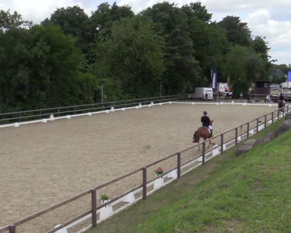 Reitturnier Iserlohn-Kalthof 2025