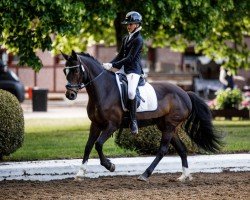 dressage horse A'Isha 2 (German Riding Pony, 2004, from No Limit)