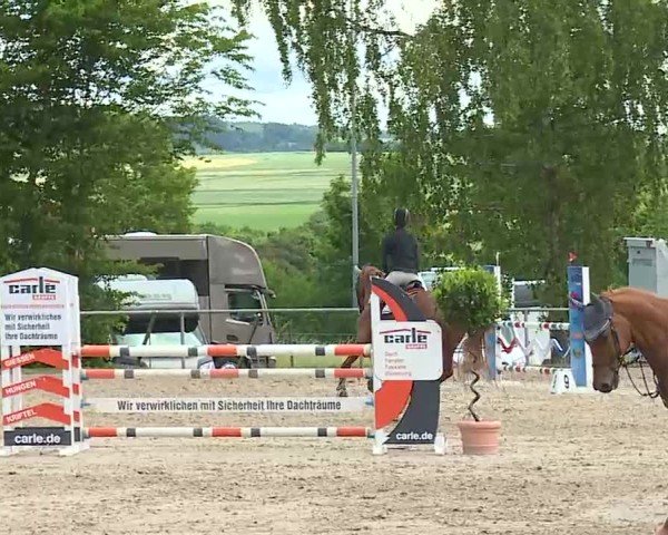 Reitturnier Landenhausen 2025