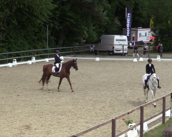 Reitturnier Iserlohn-Kalthof 2025