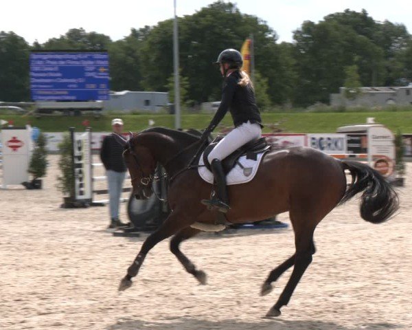 Reitturnier Borken 2025
