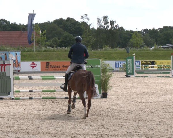 Reitturnier Borken 2025