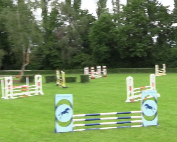 Reitturnier Westeregeln 2025