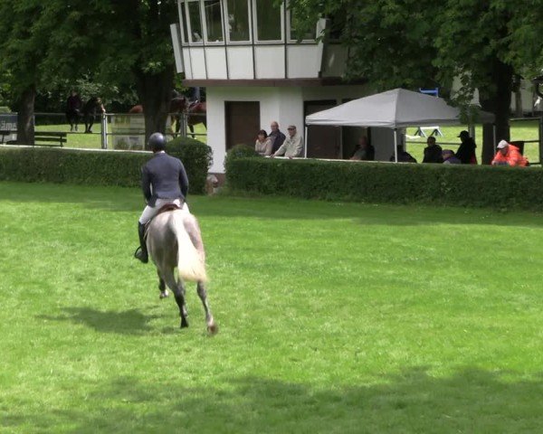 Reitturnier Westeregeln 2025