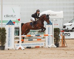 dressage horse Cabara (Westphalian, 2012, from Conte Ferrari)