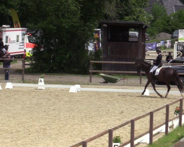 Reitturnier Iserlohn-Kalthof 2025