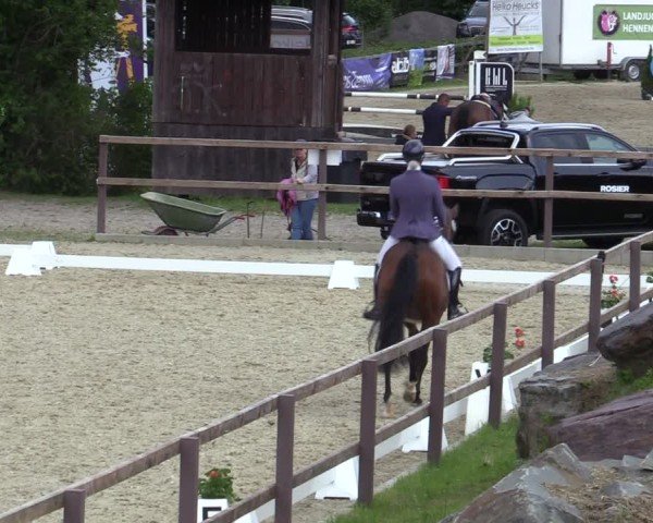 Reitturnier Iserlohn-Kalthof 2025