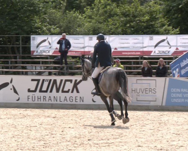 Reitturnier Borken 2025