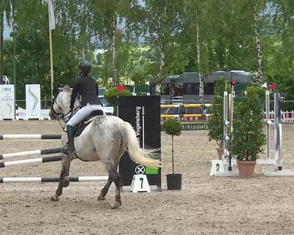 Reitturnier Landenhausen 2025