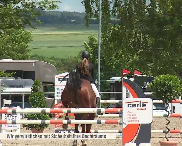 Reitturnier Landenhausen 2025