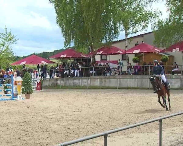 Reitturnier Landenhausen 2025