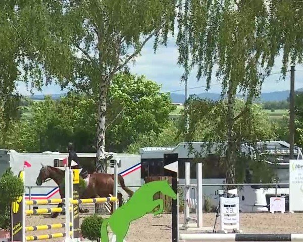 Reitturnier Landenhausen 2025