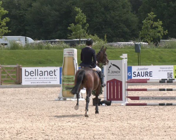 Reitturnier Borken 2025