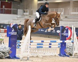 horse Joran de Rueire (Selle Français, 2019, from Ogrion des Champs)