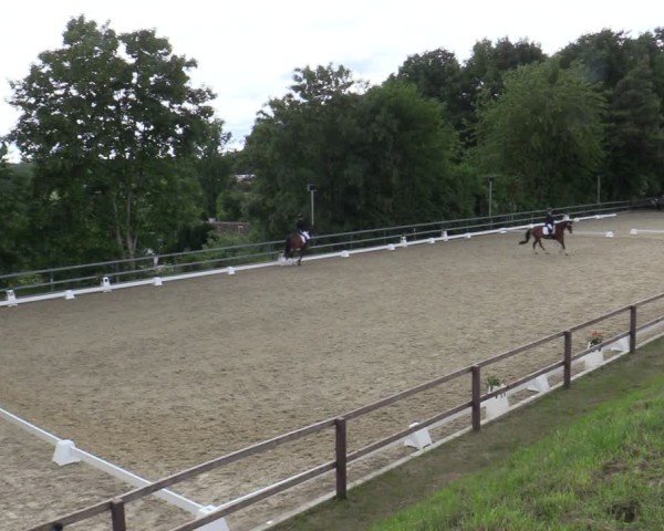 Reitturnier Iserlohn-Kalthof 2025