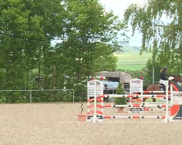Reitturnier Landenhausen 2025
