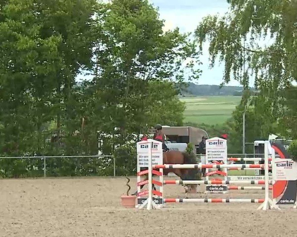 Reitturnier Landenhausen 2025