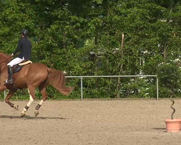 Reitturnier Landenhausen 2025