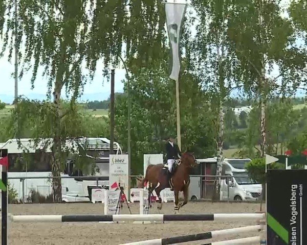 Reitturnier Landenhausen 2025