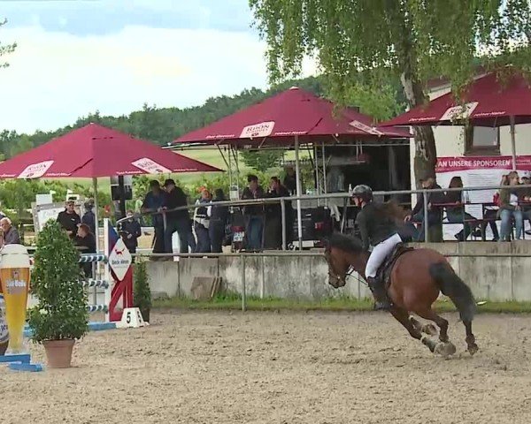 Reitturnier Landenhausen 2025
