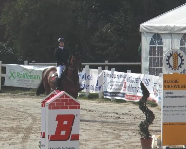 Lenklarer Reitertage 2014