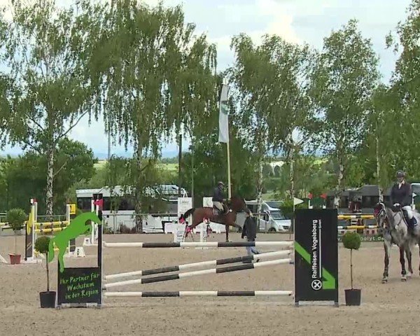 Reitturnier Landenhausen 2025