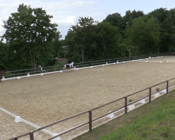 Reitturnier Iserlohn-Kalthof 2025