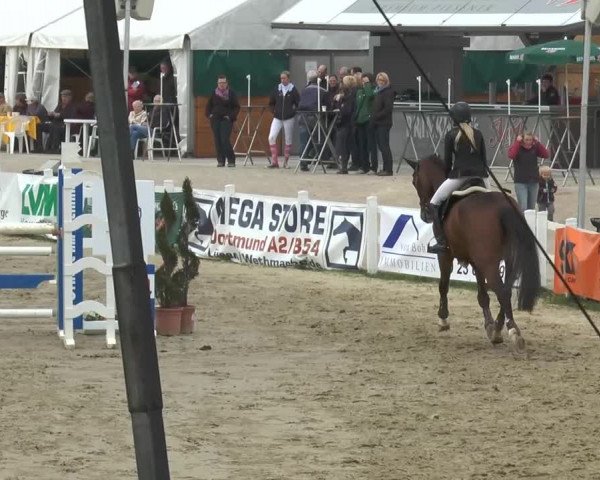 Lenklarer Reitertage 2014