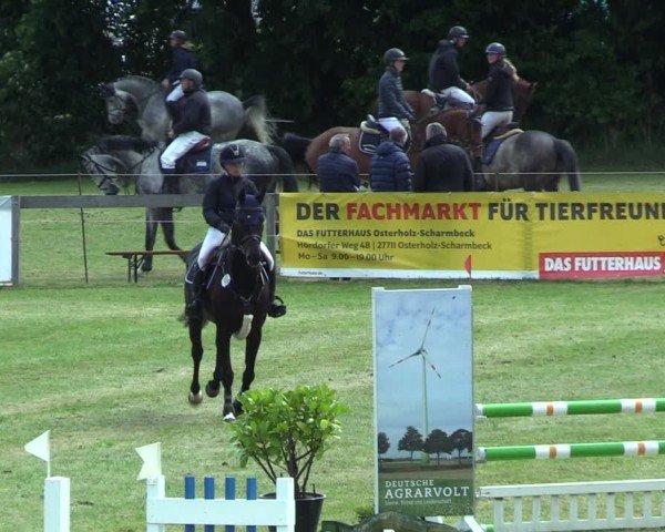 Reitturnier Pennigbüttel 2025