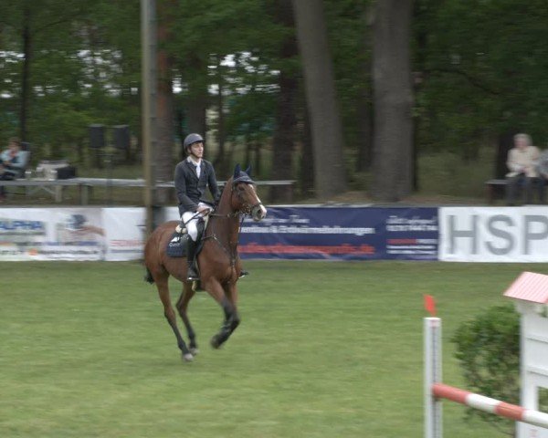 Reitturnier Cottbus-Sielow 2025
