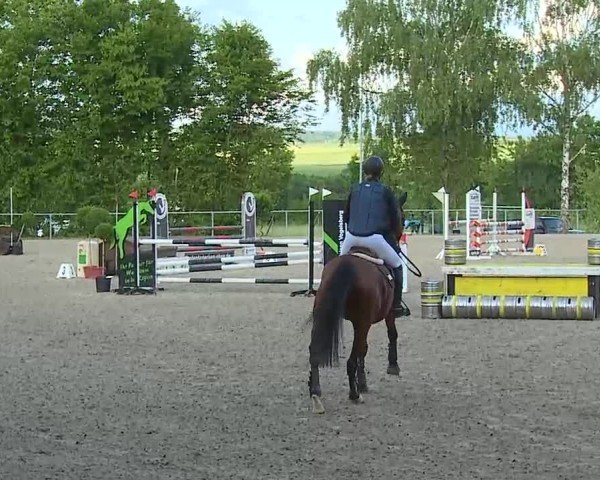 Reitturnier Landenhausen 2025