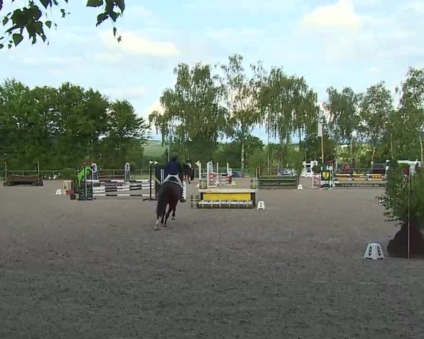 Reitturnier Landenhausen 2025