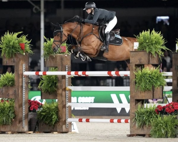 jumper La Contessa (Mecklenburg, 2015, from License)