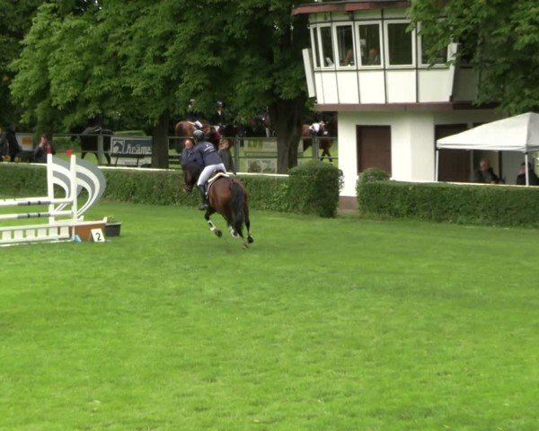 Reitturnier Westeregeln 2025